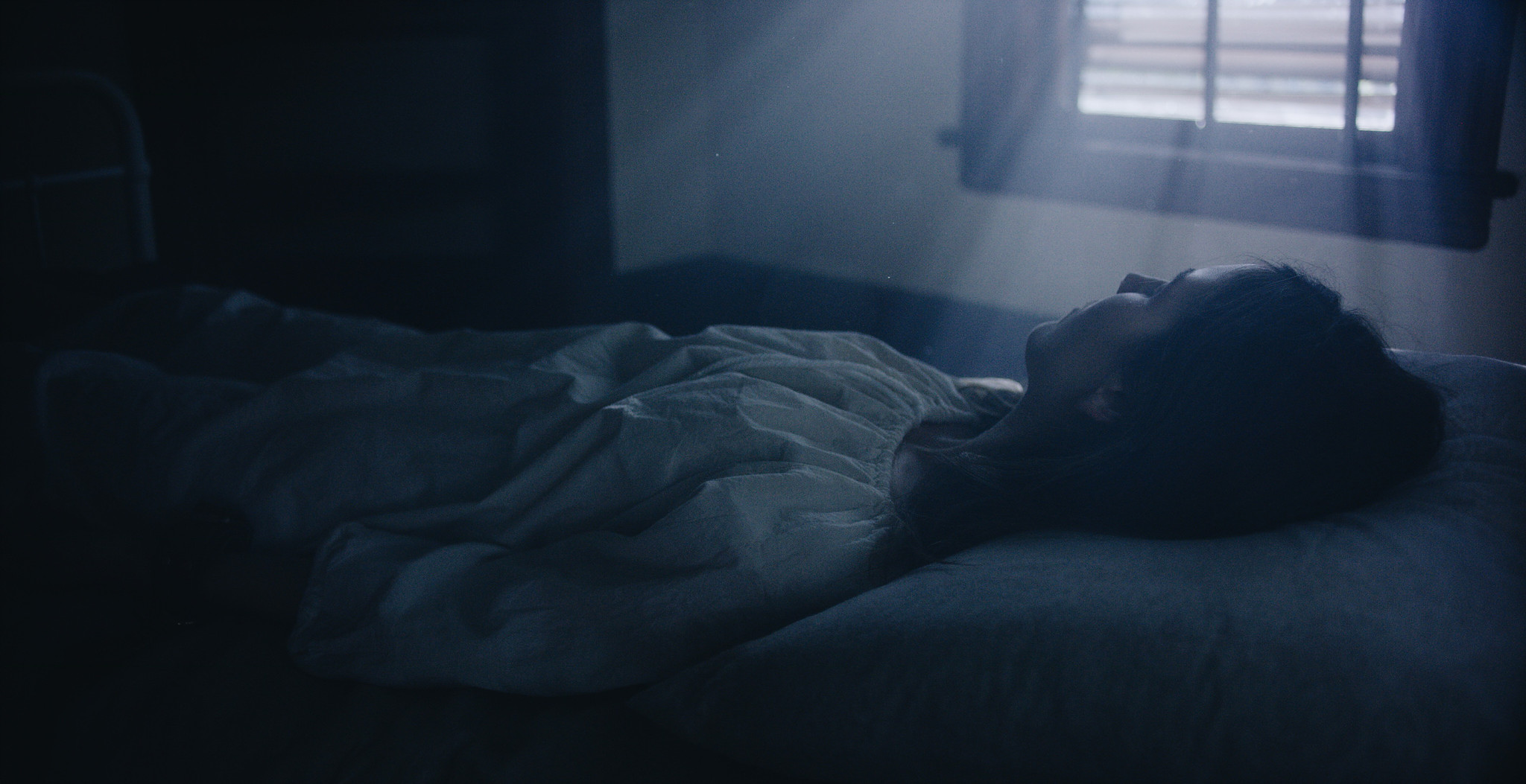 Patient asleep on an iron bed in a dim asylum room lit by a single window, The Mad Whale